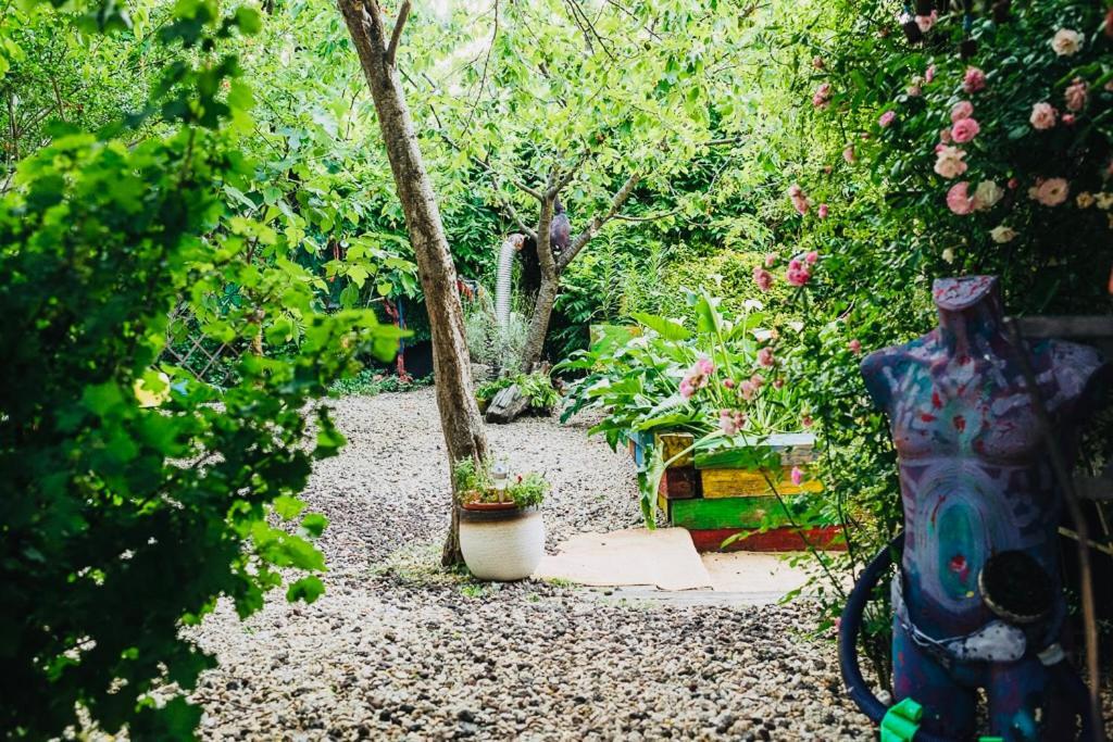 Maxia Galega -Arte, Natureza, Relax -Ribeira Sacra مونفورتي دي ليموس المظهر الخارجي الصورة